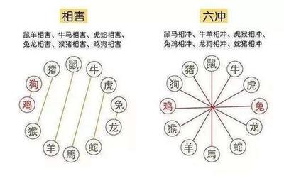 马相冲的属相