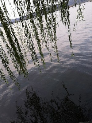 水光潋滟读音