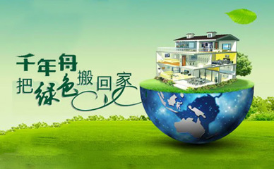 千年舟怎么样