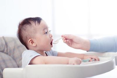 十一个月宝宝不吃辅食怎么办