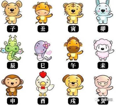 属羊和属虎的配吗