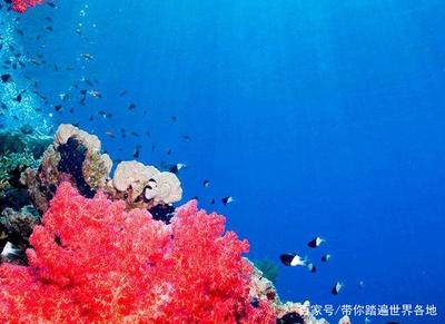 红海的海水是什么颜色