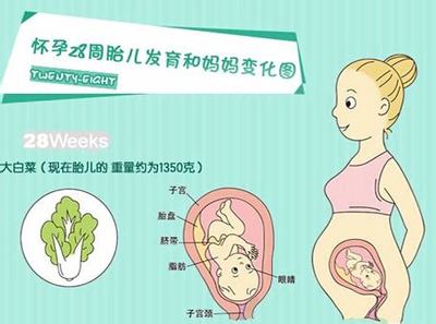 怀孕初期有什么注意事项