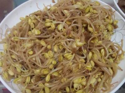 怀孕初期能吃绿豆芽吗