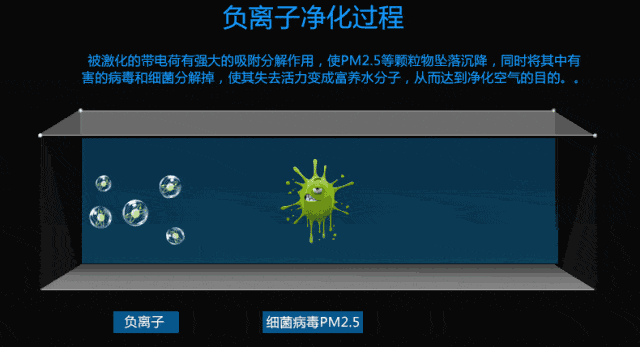 正负离子