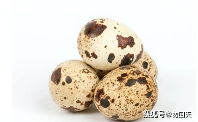 怀孕可以吃鹌鹑蛋吗