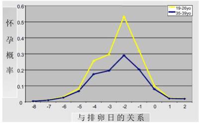 排卵期受孕几率