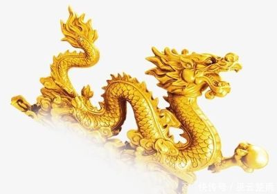 妈妈属龙宝宝属龙好吗