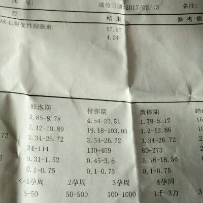 卵泡期 排卵期