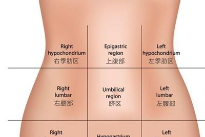 肚子左边胀疼是怎么回事