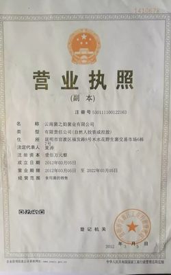 营业执照年检章图片