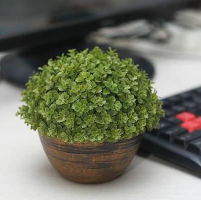 办公桌风水植物
