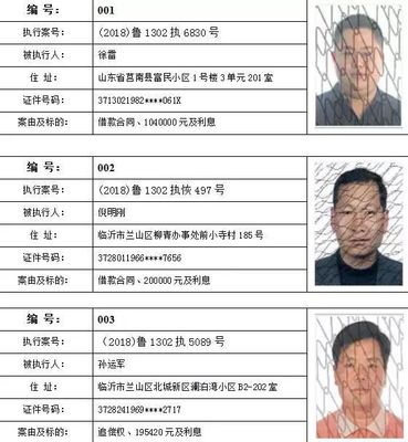 被执行失信人