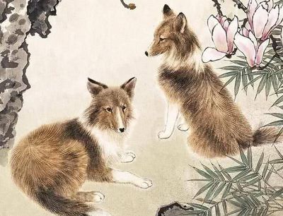 瞻前顾后的生肖