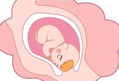 宝宝在肚子里的照片