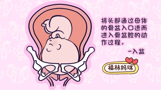 胎儿入盆需要几天完成