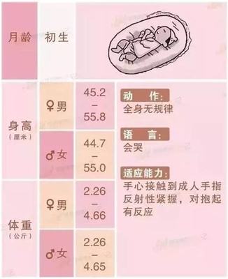 宝宝身高增长速度