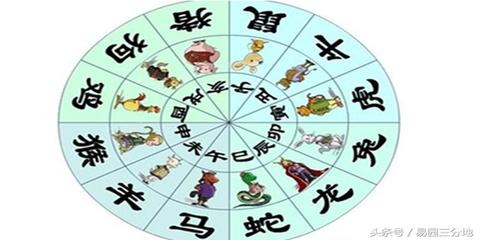 八字代表什么生肖