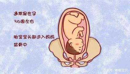 怎样判断胎儿是否入盆