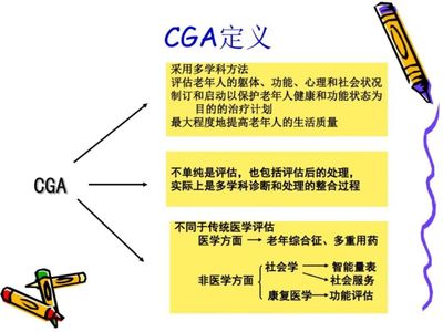 cga 什么意思