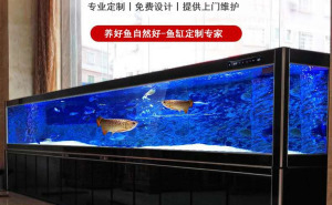 廣州觀賞魚(yú)市場(chǎng)有透明魚(yú)賣嗎（廣州觀賞魚(yú)市場(chǎng)有透明魚(yú)賣嗎多少錢） 觀賞魚(yú)市場(chǎng)（混養(yǎng)魚(yú)）