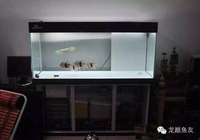 家里的空鱼缸如何处理