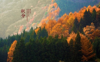 怎么对待约束与自由