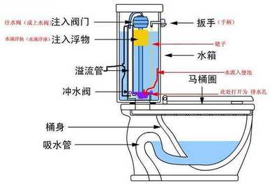 马桶排水