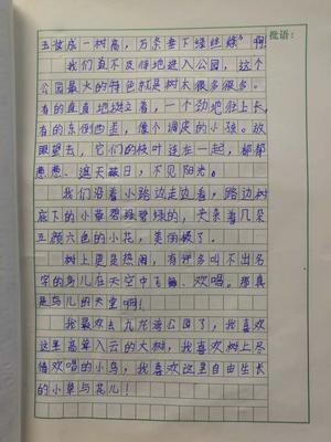 我印象最深的老师100字作文怎么写