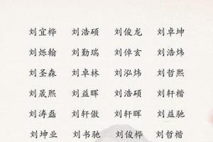 刘姓起名男孩