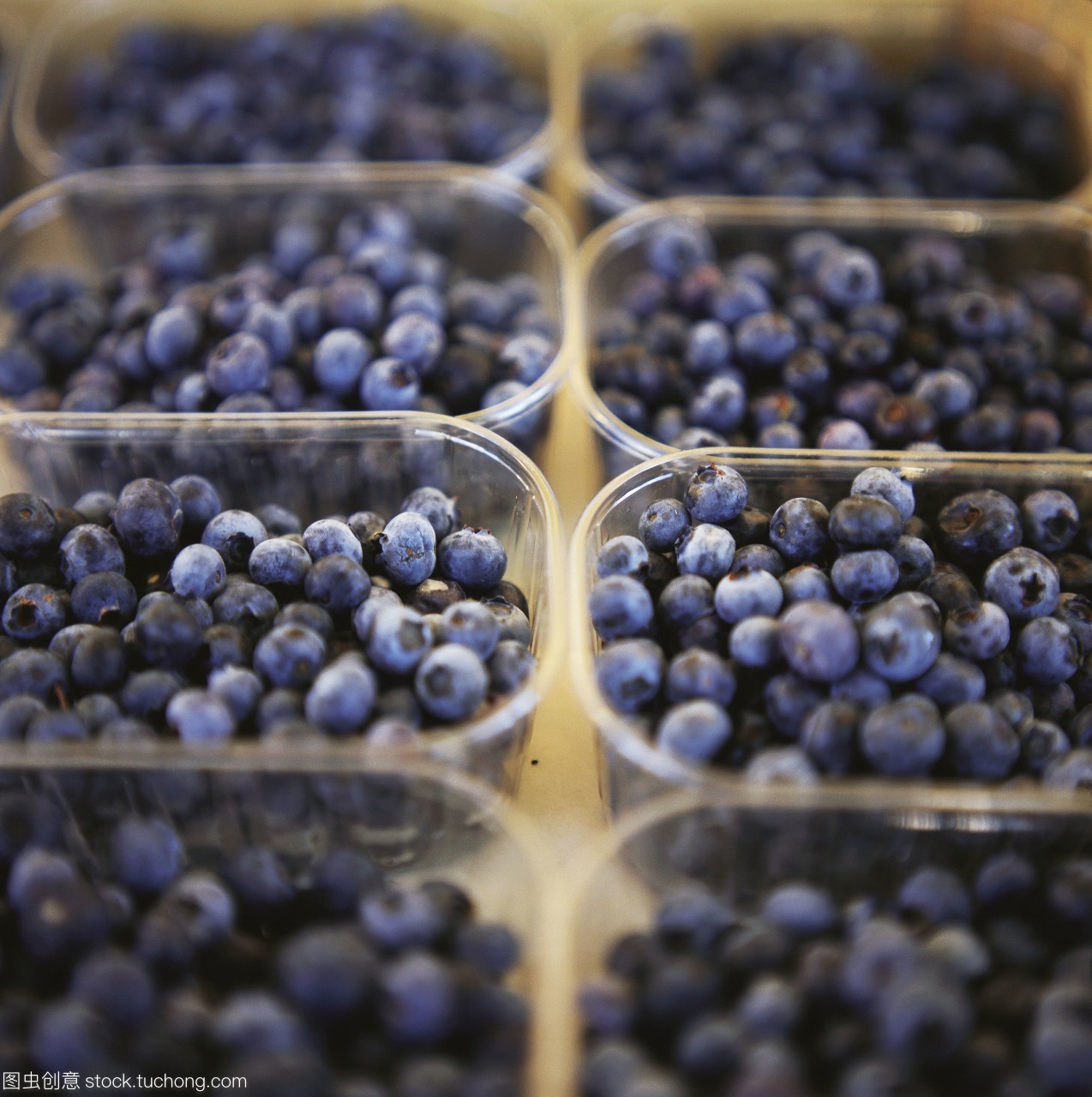 塑料盒装的蓝莓