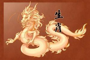 属龙女明日运势
