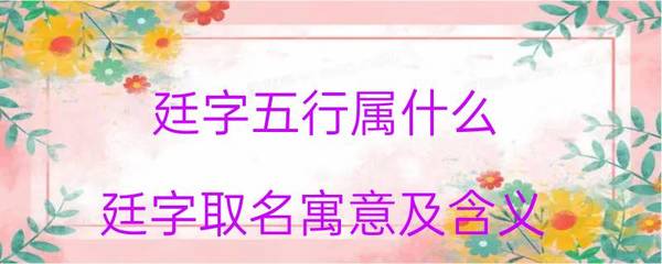 廷字取名寓意