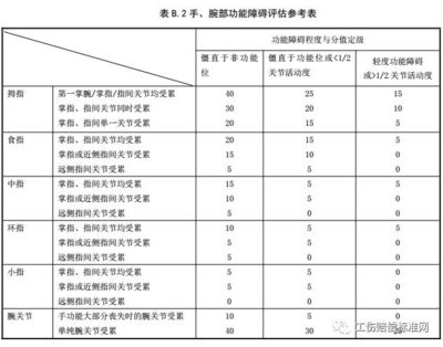 《劳动能力鉴定职工工伤与职业病致残等级》