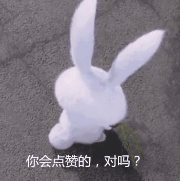 肯德基裙子穿搭图