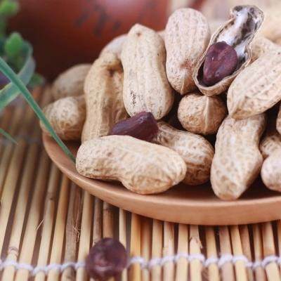 怀孕能吃膨化食品吗