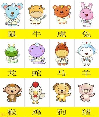 属虎与属猪相配吗