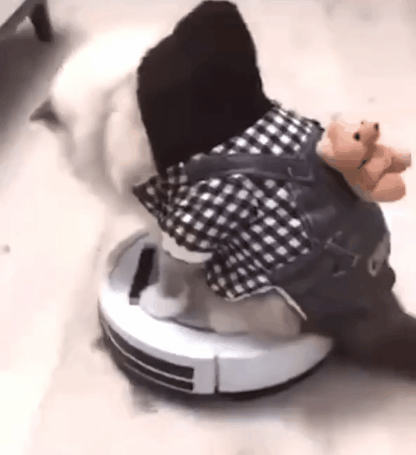 发疯的机器人