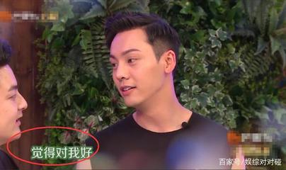 陈伟霆八字中的另一半