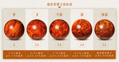 四星金星什么级别