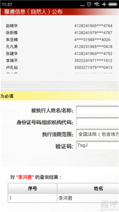 全国执行网信息查询