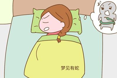 怀孕梦见小兔子