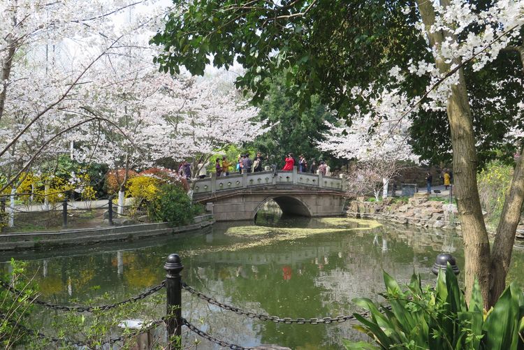 虹口公园