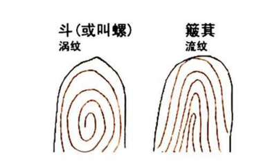 手指十个斗的男人命运