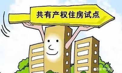 共有人提起析产诉讼