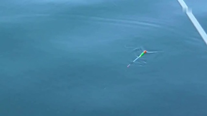 梦见钓鱼自己掉水里了