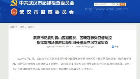 党纪立案审查