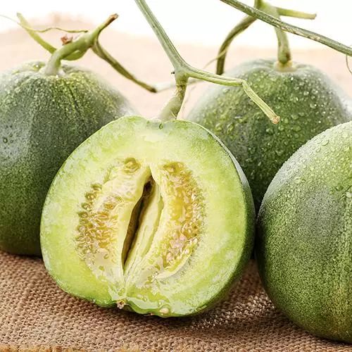 玉瓜又叫什么瓜