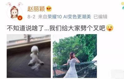 结婚几个月了还没怀孕