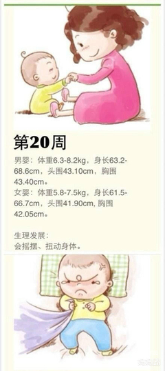 3个月宝宝胸围是多少